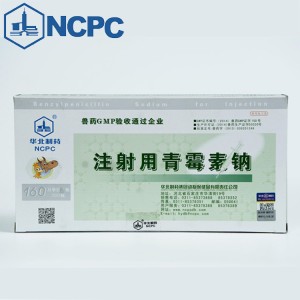 Benzylpenicillin Sodium for Injection