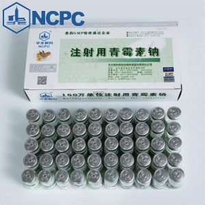 Benzylpenicillin Sodium for Injection