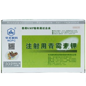 Penicillin Potassium for Injection
