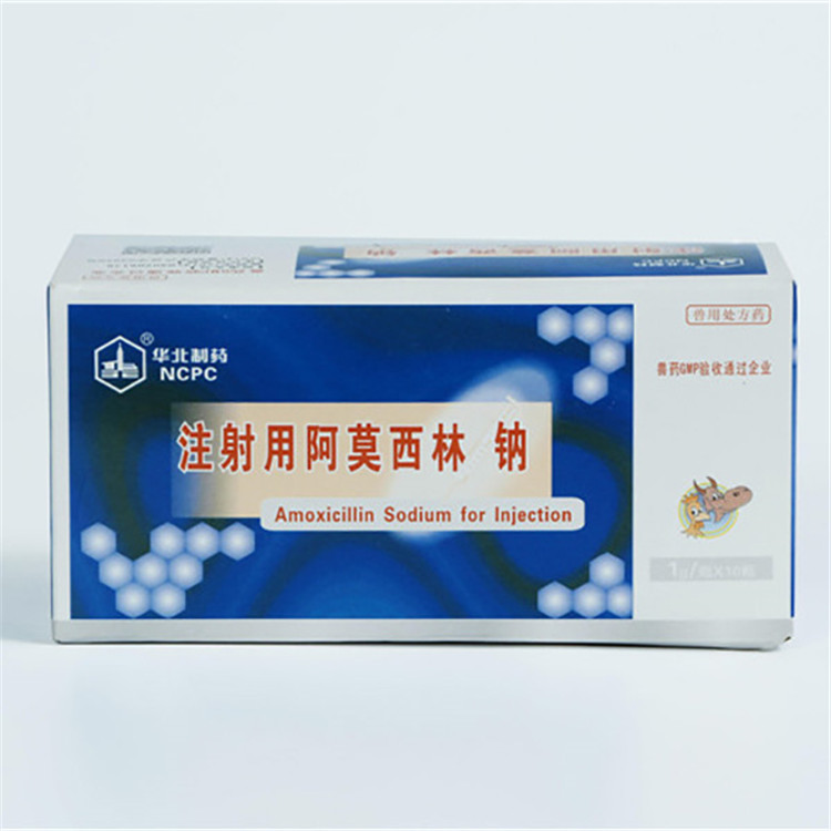 Trending Products Respiratory Disease -
 Amoxicillin Sodium for Injection – North China Pharmaceutical