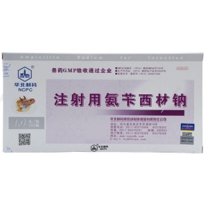 Ampicillin Sodium for Injection