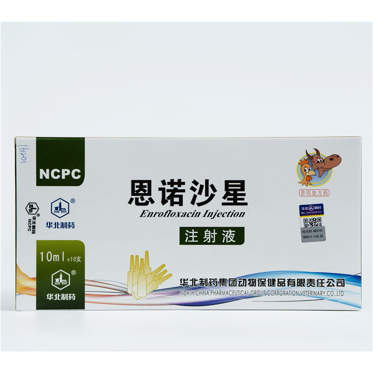 China Gold Supplier for P Rocaine Penicillin -
 2.5% Enrofloxacin Injection – North China Pharmaceutical