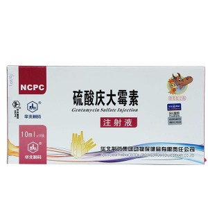 Gentamycin Sulphate 10% injection