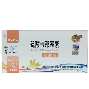 Kanamycin sulfate injection