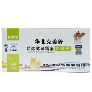 Lincomycin Hydrochloride Injection