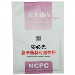 Ampicillin Soluble Powder