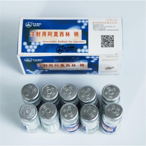 Amoxicillin Sodium for Injection
