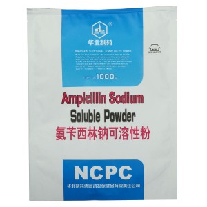 Ampicillin Sodium Soluble Powder