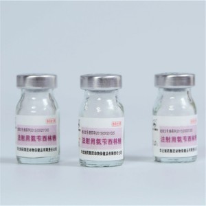 Ampicillin Sodium for Injection
