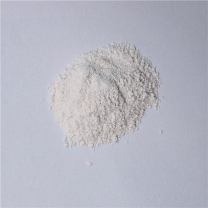 Albendazole and Ivermectin Powder