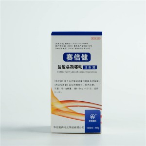 ceftiofur hydrochloride injection