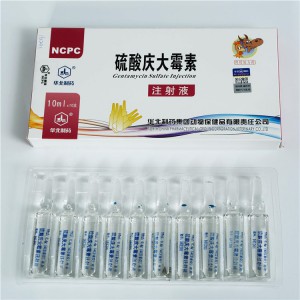 Gentamycin Sulphate 10% injection