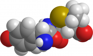 Amoxicillin Trihydrate